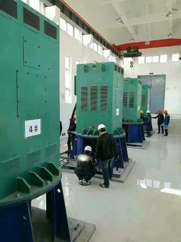 木棠镇某污水处理厂使用我厂的立式高压电机安装现场
